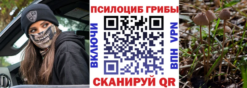 Галлюциногенные грибы GOLDEN TEACHER  ссылка на мегу рабочий сайт  Емва 